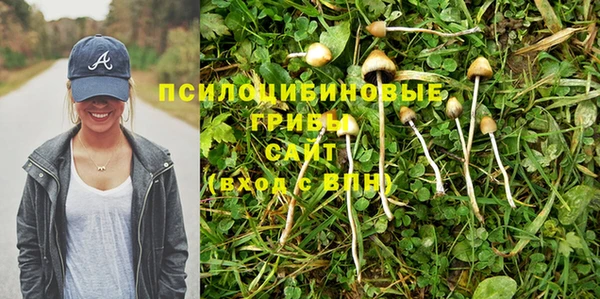 apvp Красноперекопск