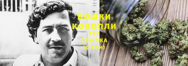 скорость Краснослободск