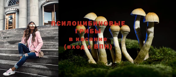 скорость Краснослободск