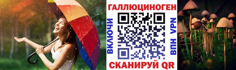 omg ССЫЛКА  Новая Усмань  Псилоцибиновые грибы мухоморы 